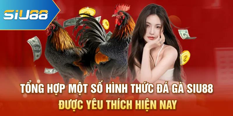Tổng hợp một số hình thức đá gà Siu88 được yêu thích hiện nay